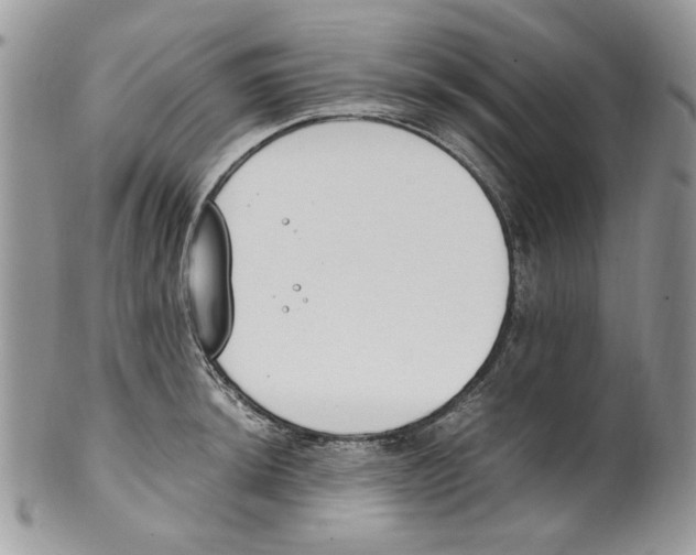 X0000099551044200806131208