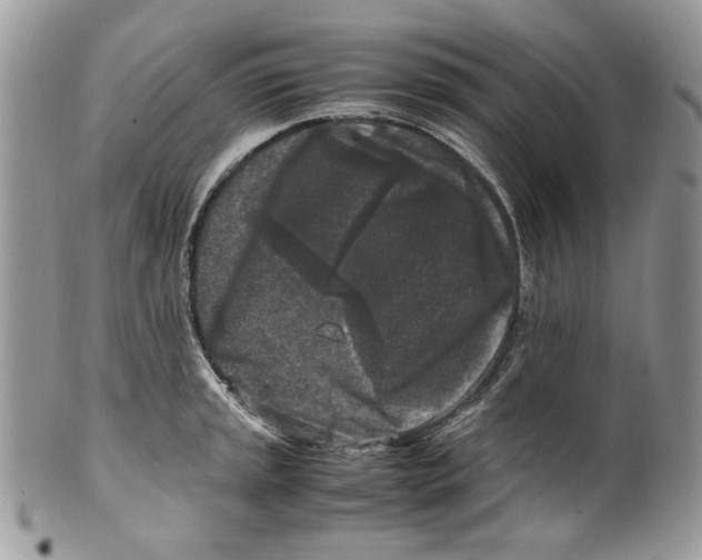 X0000099551045200806131208