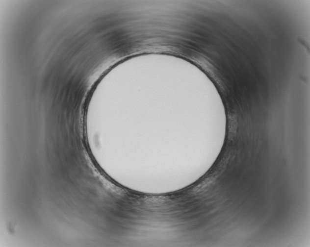 X0000099551046200806131208