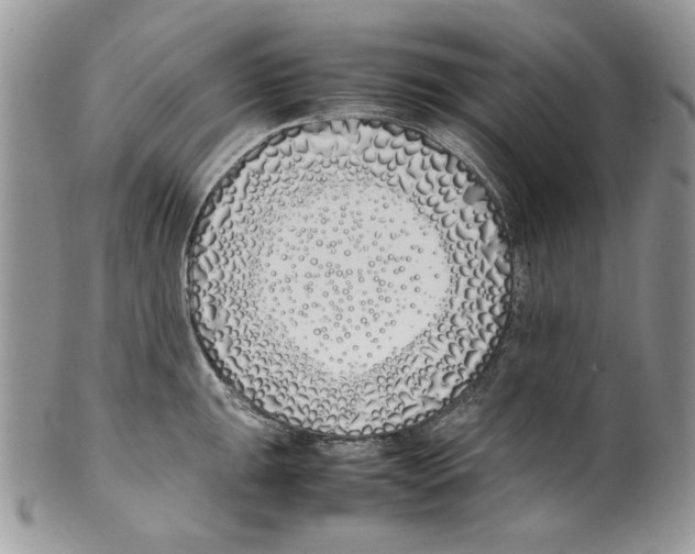 X0000099551047200806131208