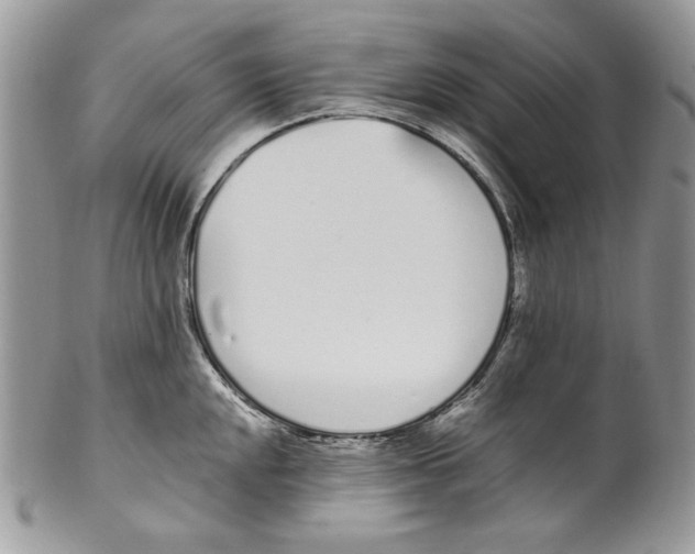 X0000099551048200806131208