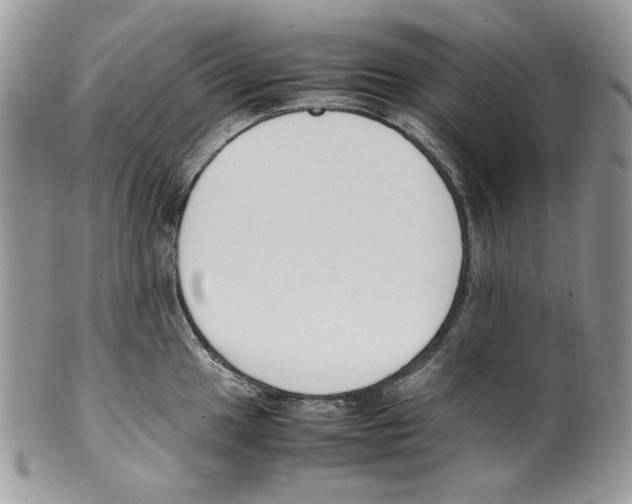 X0000099551049200806131208