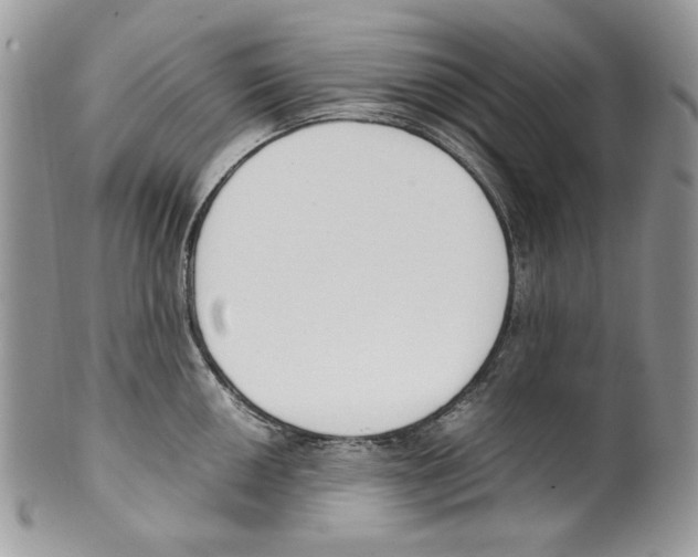 X0000099551050200806131208