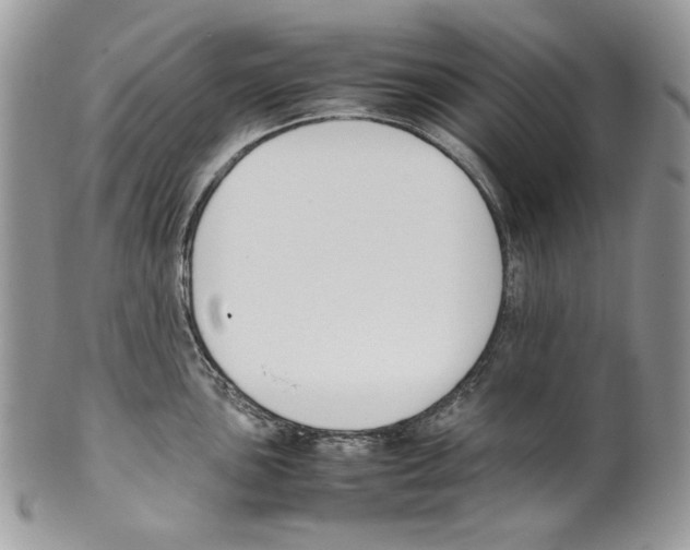 X0000099551051200806131208