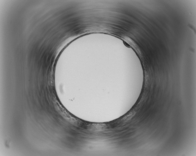 X0000099551052200806131208