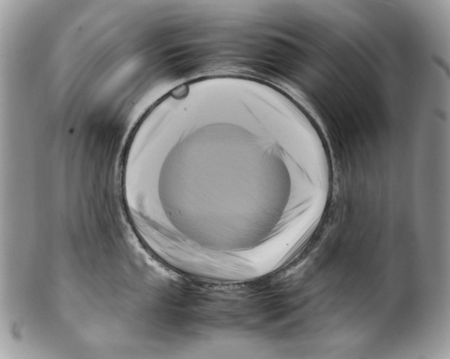 X0000099551053200806131208