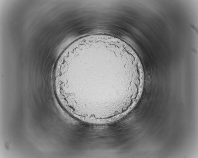 X0000099551055200806131208