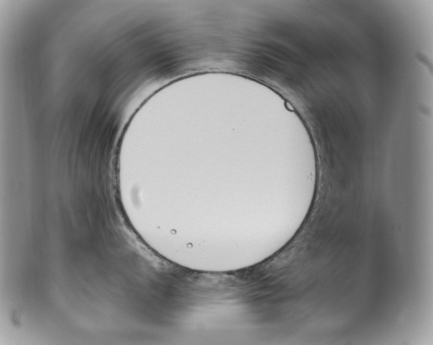 X0000099551056200806131208