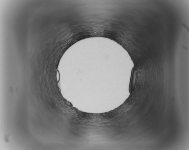 X0000099551057200806131207