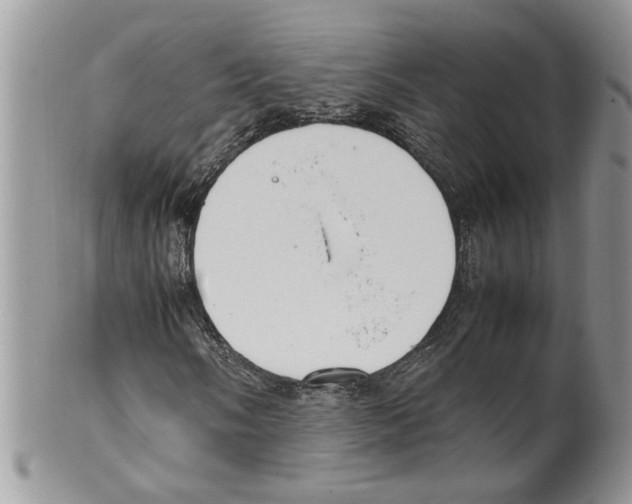 X0000099551058200806131207