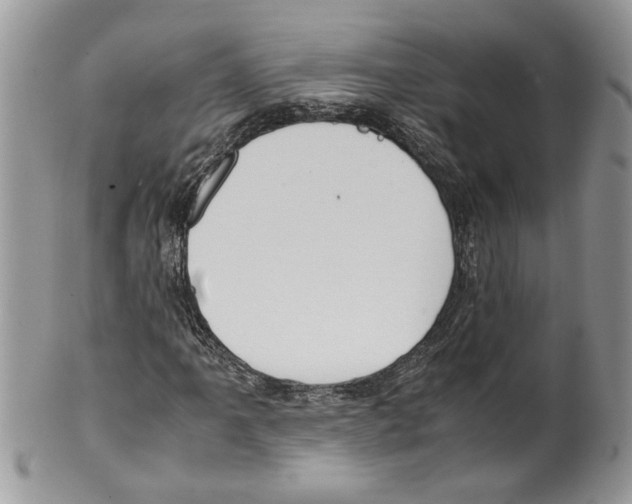 X0000099551061200806131207