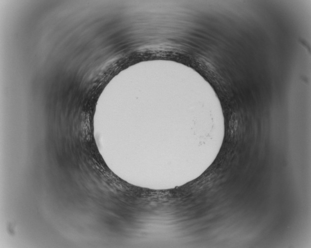 X0000099551062200806131207