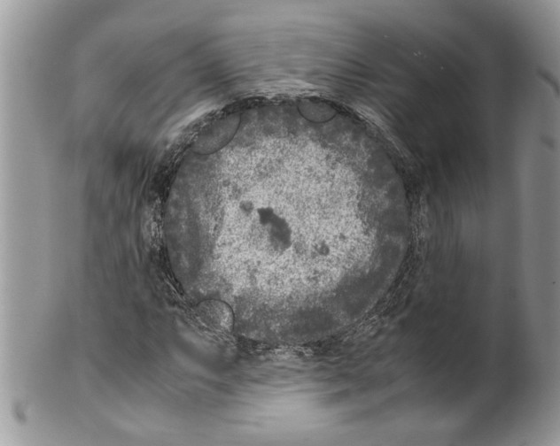 X0000099551063200806131207