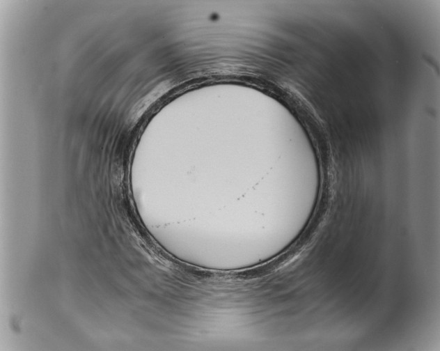 X0000099551065200806131207