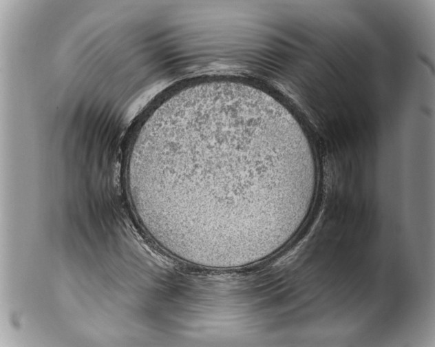 X0000099551066200806131207