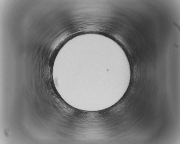 X0000099551067200806131207