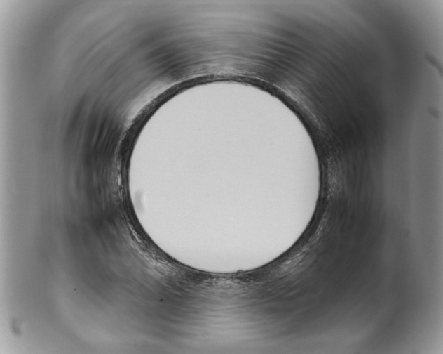 X0000099551070200806131207