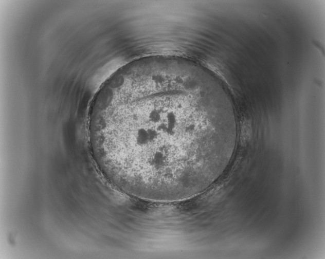 X0000099551071200806131207