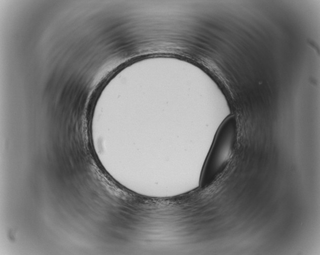 X0000099551072200806131207