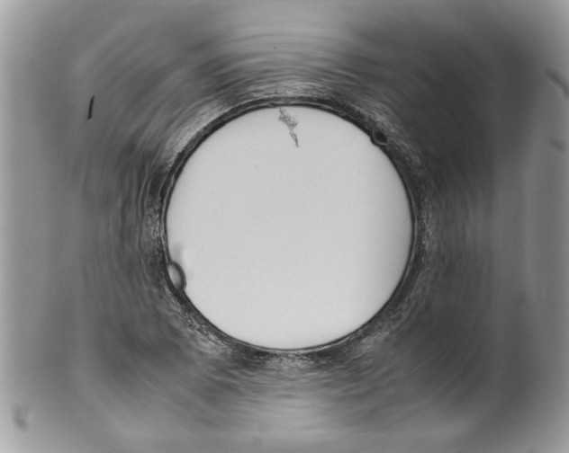 X0000099551073200806131207