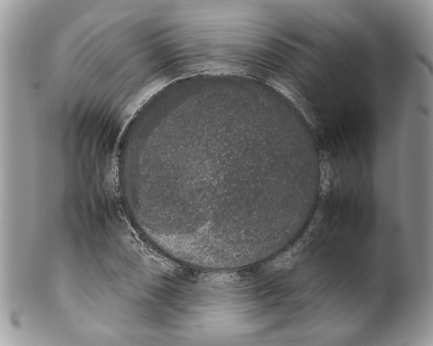 X0000099551074200806131207