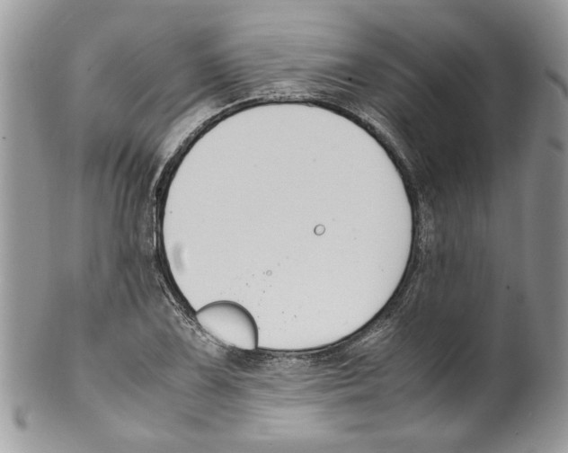 X0000099551075200806131207