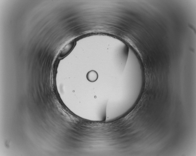 X0000099551076200806131207