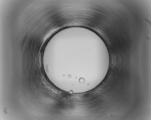 X0000099551078200806131207