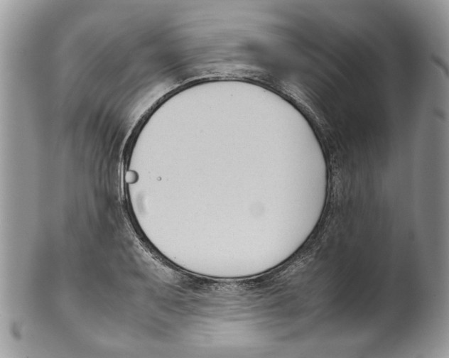 X0000099551079200806131207