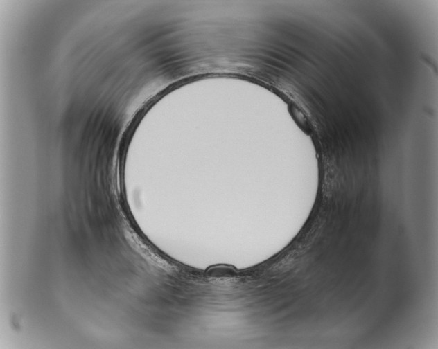 X0000099551080200806131207