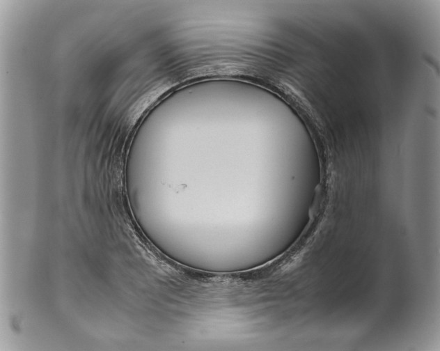 X0000099551081200806131207