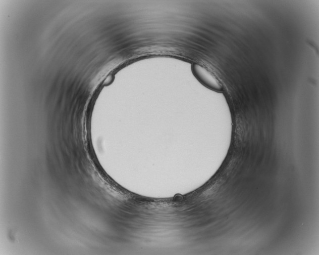 X0000099551082200806131207