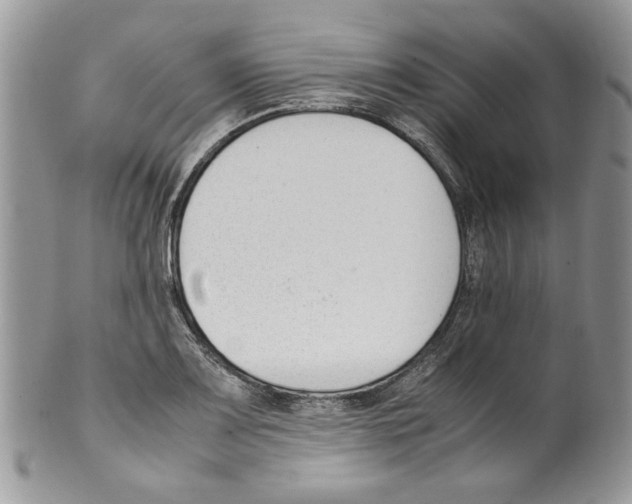 X0000099551083200806131207