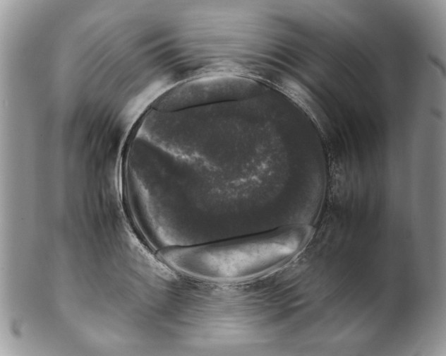 X0000099551084200806131207