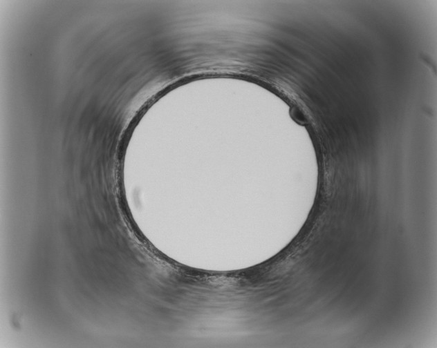 X0000099551085200806131207