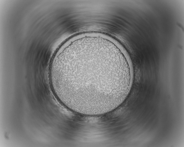 X0000099551086200806131207