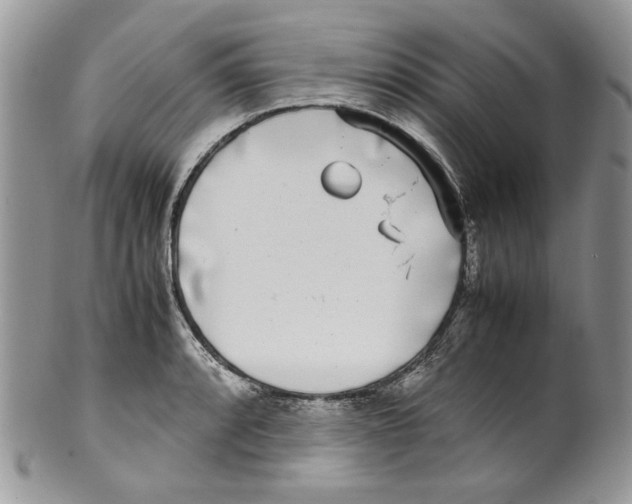 X0000099551088200806131207