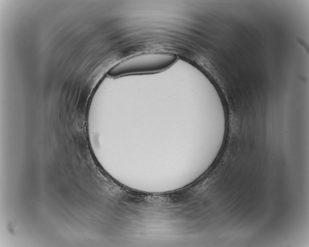 X0000099551089200806131207