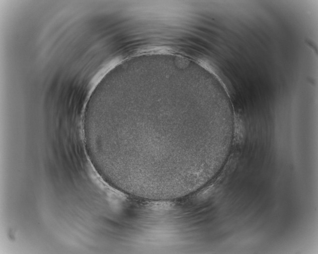 X0000099551090200806131207