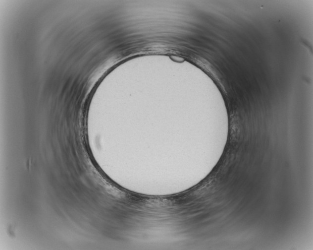 X0000099551091200806131207