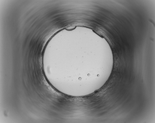 X0000099551092200806131207