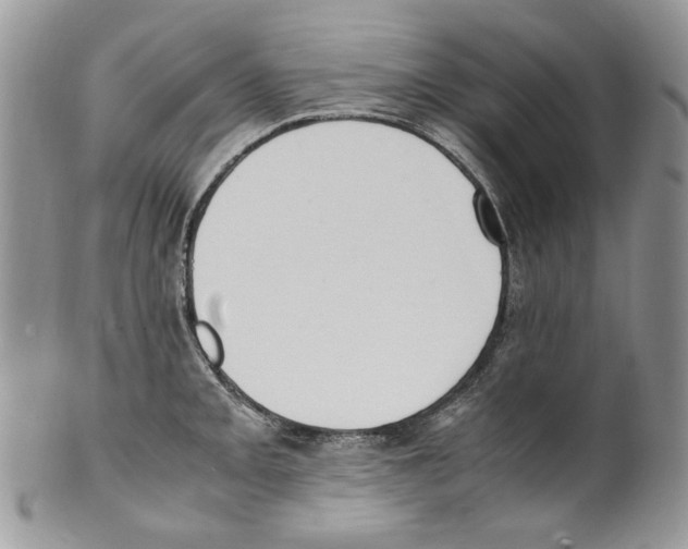 X0000099551093200806131207