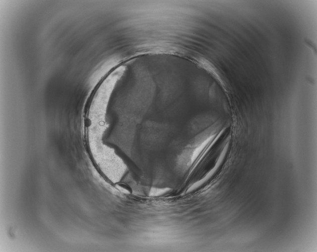 X0000099551095200806131207