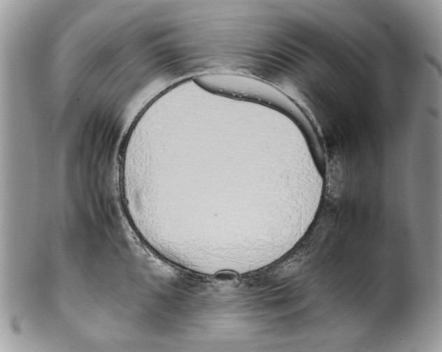 X0000099551096200806131207