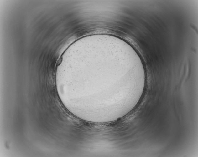 X0000099551097200806131207