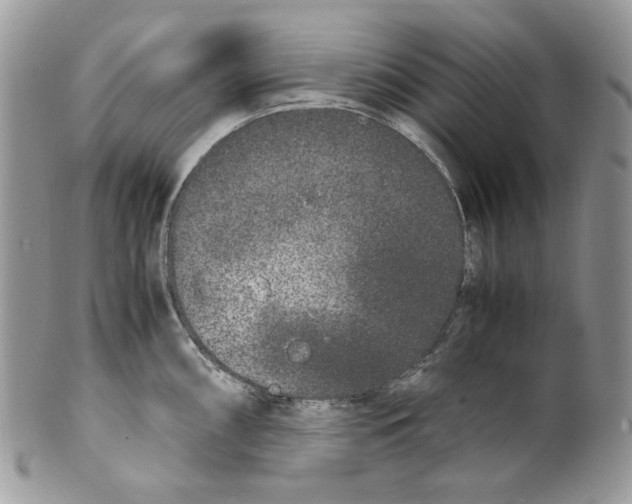 X0000099551098200806131207