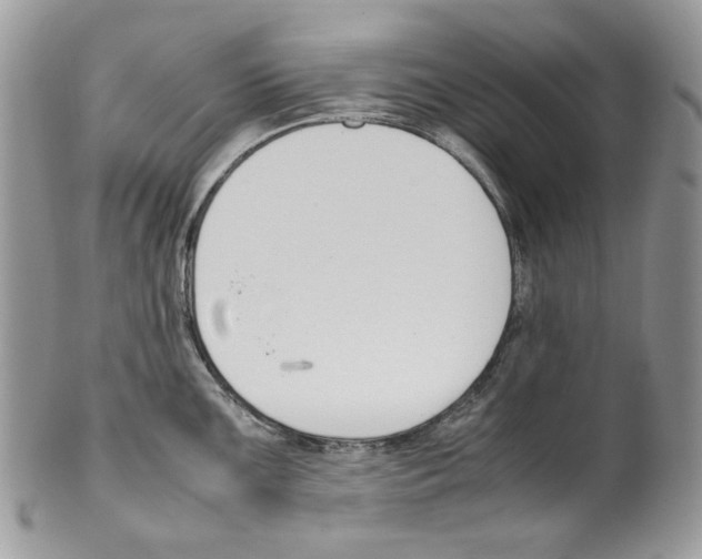 X0000099551099200806131207