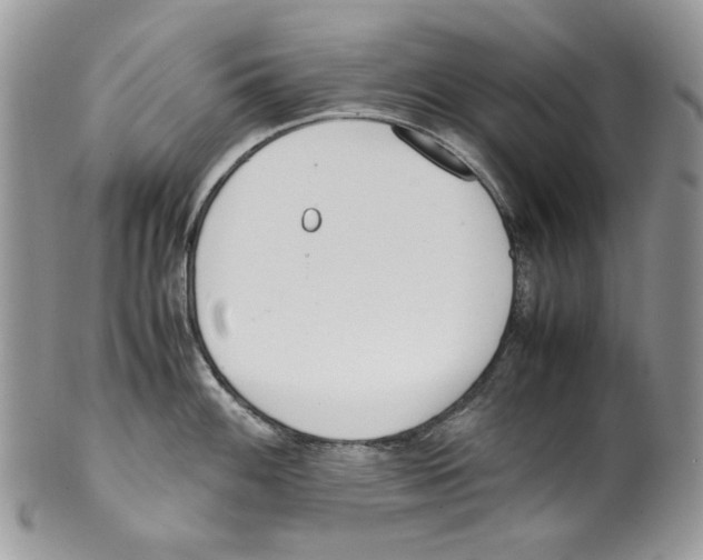 X0000099551100200806131207