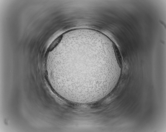 X0000099551101200806131207