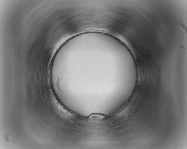 X0000099551102200806131207